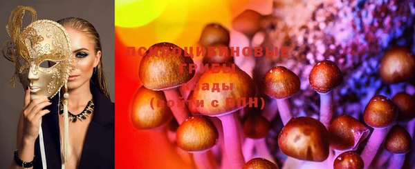 дживик Волосово