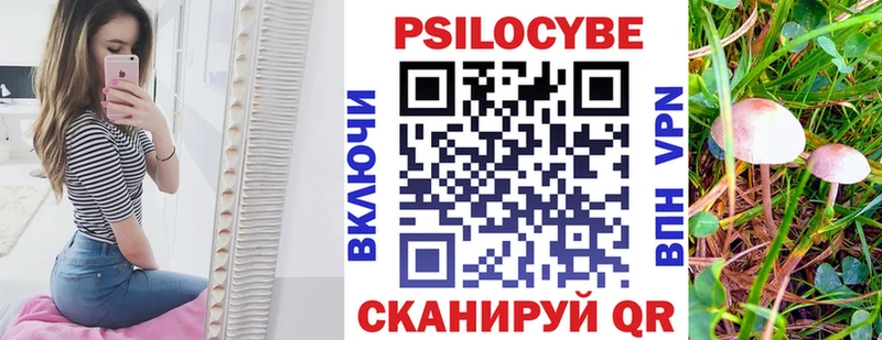 Галлюциногенные грибы Magic Shrooms ОМГ ОМГ как войти Черемхово даркнет сайт